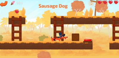 Sausage Dog Image