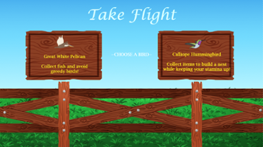 Take Flight Image