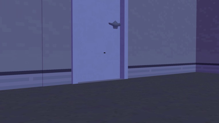 Kitty Found a Camera Image