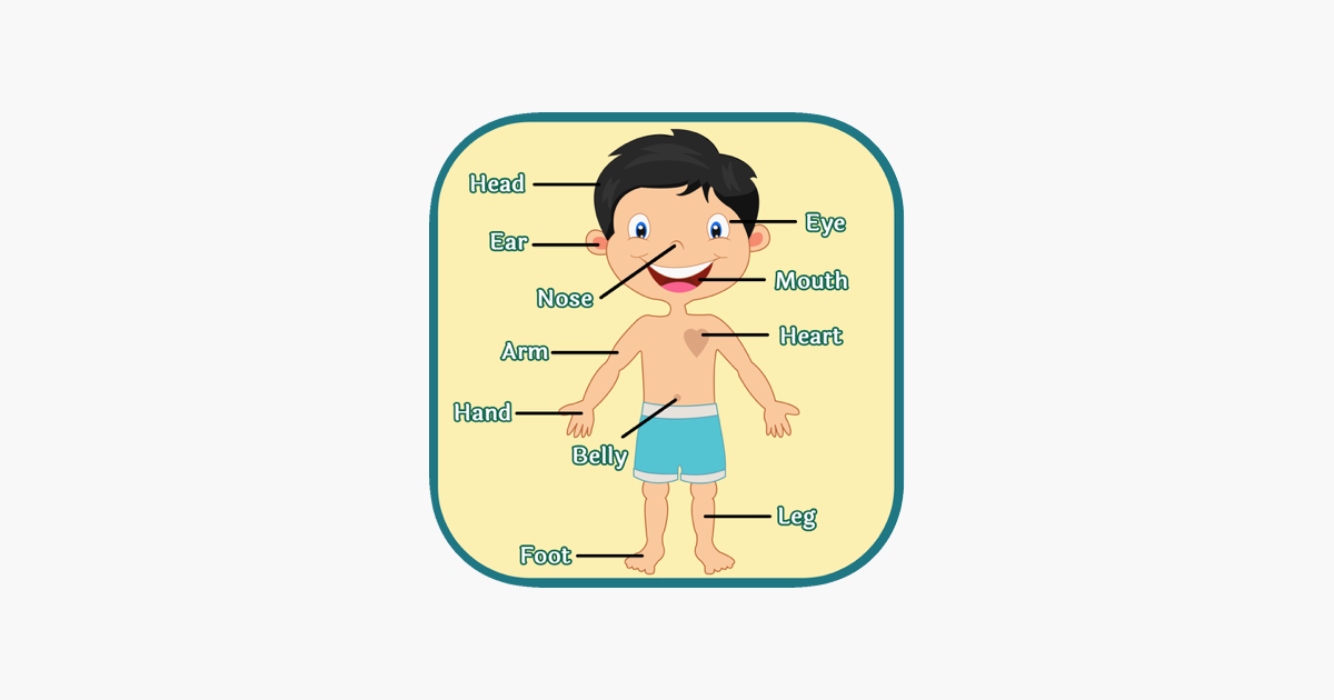 Games like Learning Human Body Parts - Baby Learning Body Parts