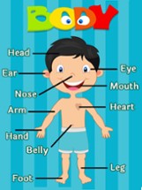 Learning Human Body Parts - Baby Learning Body Parts Image