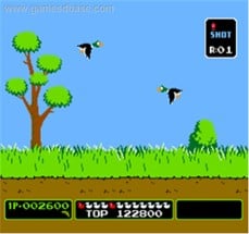 Duck Hunt Image