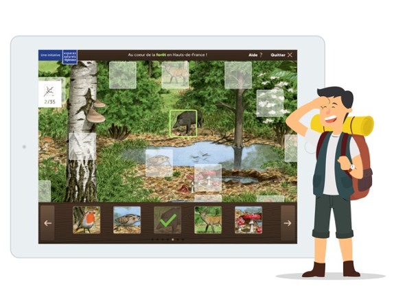 Forêt écosystème Image