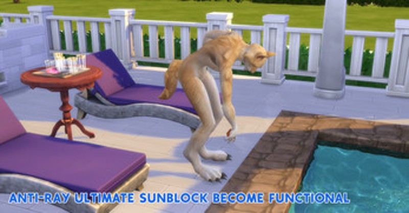 Perfume Set and Sunblock Object Become Functional Image