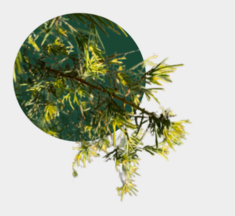 LOGAN: An Autobiographical Tabletop Game screenshot