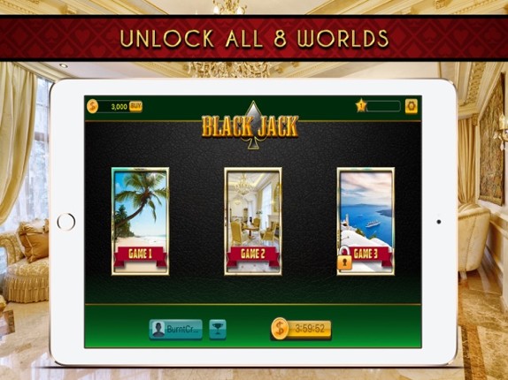 Play Blackjack! screenshot