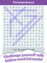 Word Search Puzzles + Image