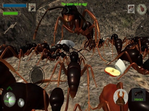 Ant Simulation 3D Image