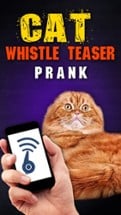 Cat Whistle Teaser Prank Image