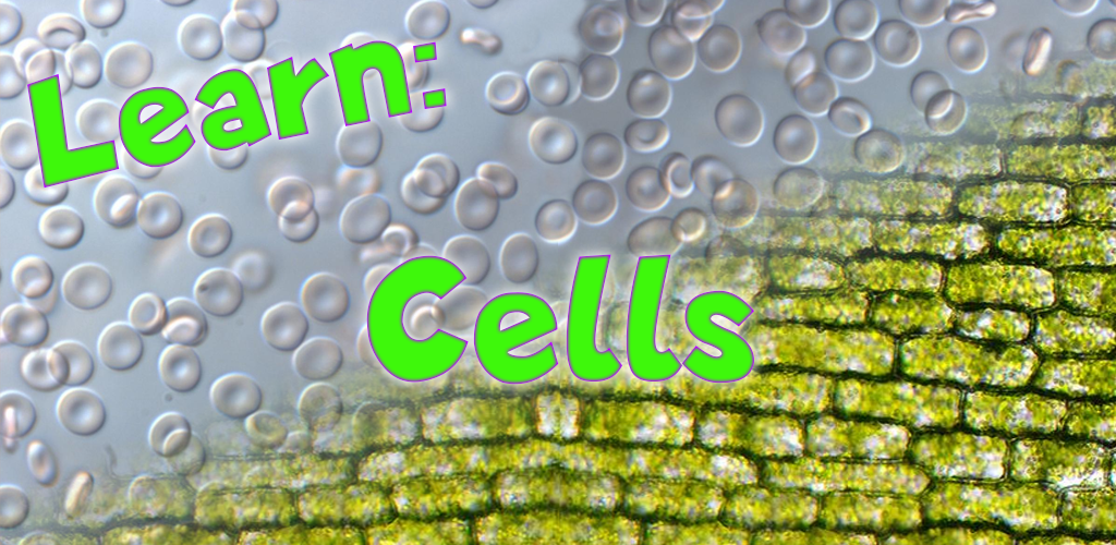 Games like Learn: Cells