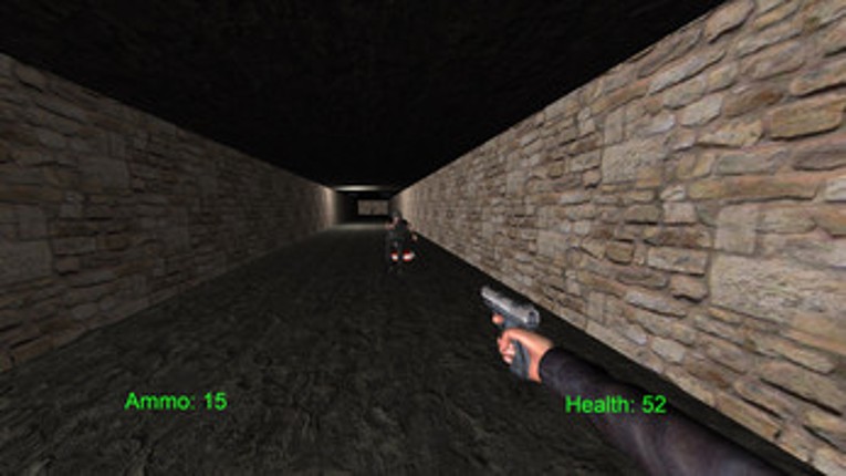 Survivor 3D screenshot