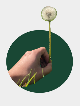 LOGAN: An Autobiographical Tabletop Game Image