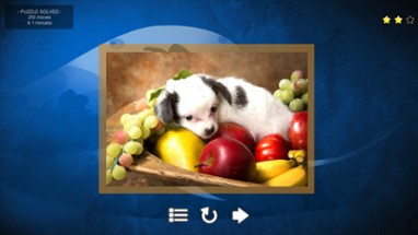 Puppy Dog: Jigsaw Puzzles Image