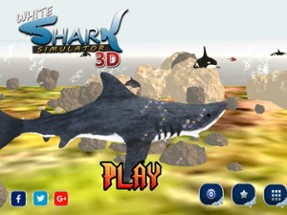 White Shark Simulator 3D Image