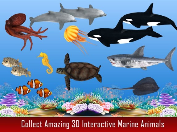 Animal Kingdom Grammar For Kids Image