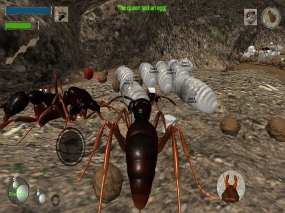 Ant Simulation 3D screenshot