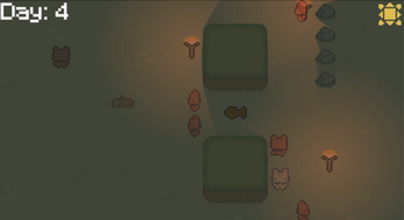 Fish Loop Image