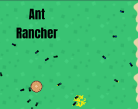 Ant Rancher Image