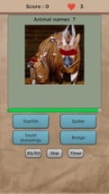 Guess Animal Name Quiz Image