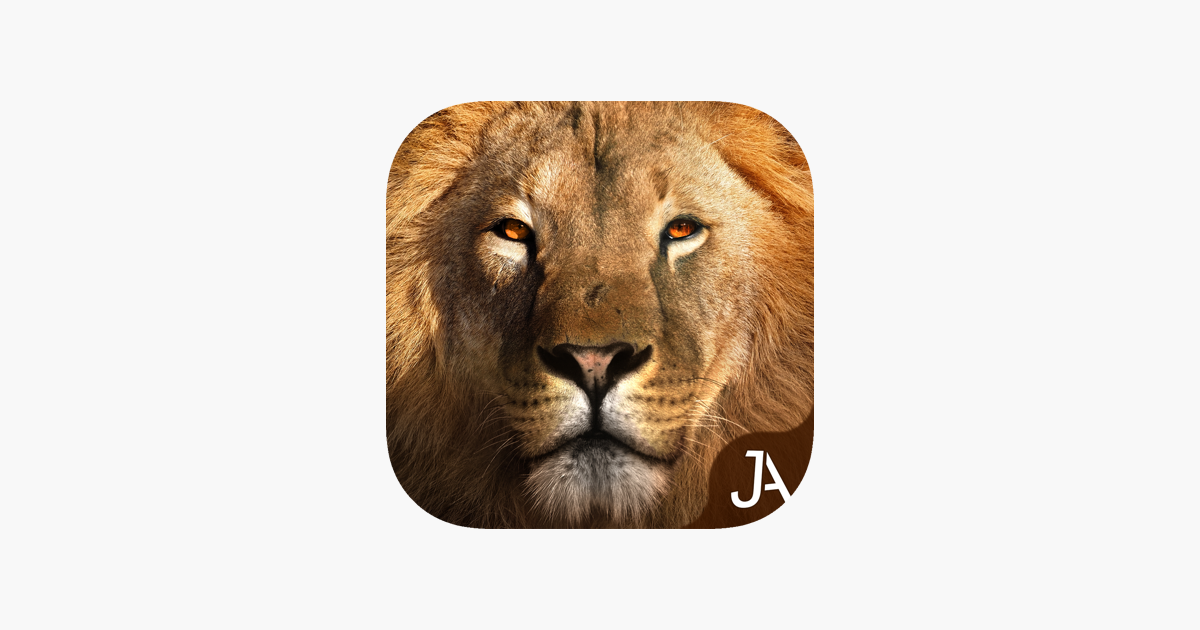 Games like Safari: Evolution