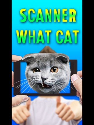Scanner What Cat Image