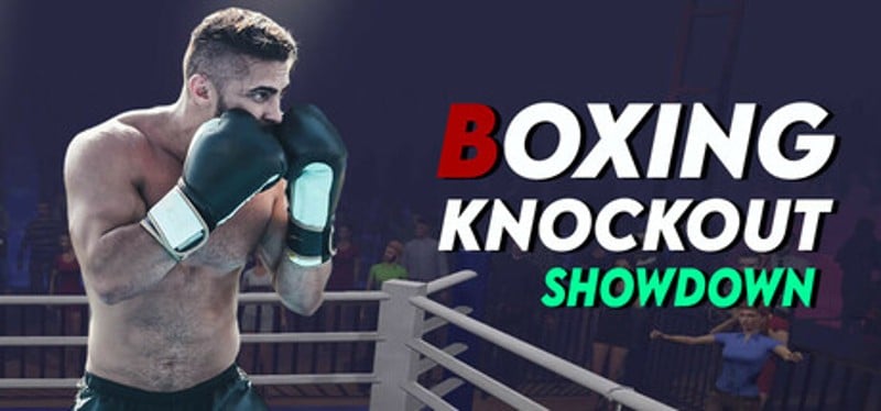 Boxing Knockout Showdown Image