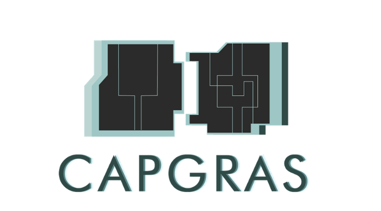 Capgras Image