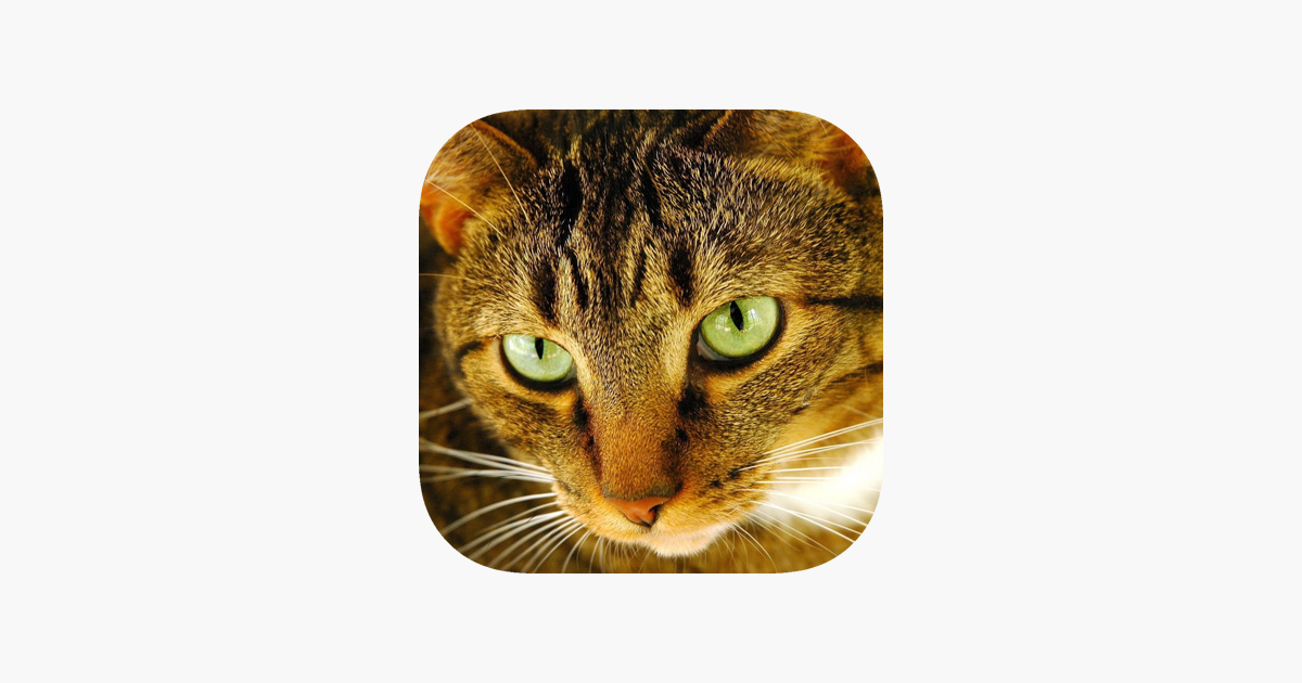 Games like Cat Puzzles