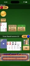 Cribbage Pro Image