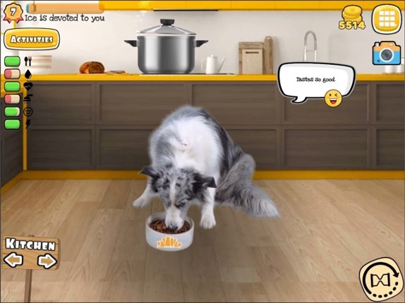 Dog Games Virtual Pet: Fruwee screenshot