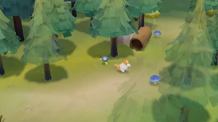 HomeStray screenshot