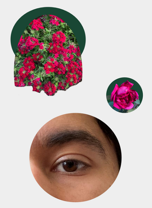 LOGAN: An Autobiographical Tabletop Game screenshot