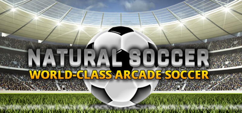 Natural Soccer Image