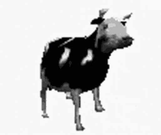 Polish Cow AR Image