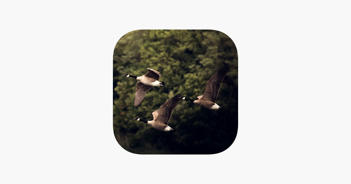 Games like Räkna på riktigt