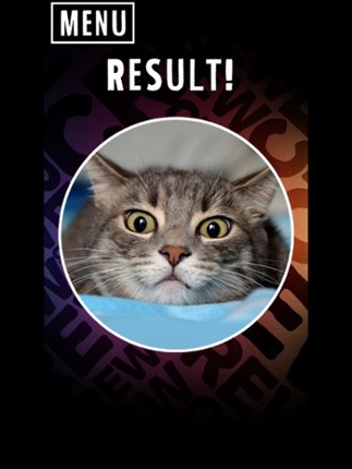 Scanner What Cat Image