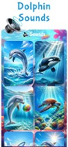 Sea World: Dolphin &amp; Whale Toy Image