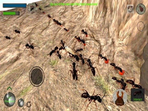 Ant Simulation 3D screenshot