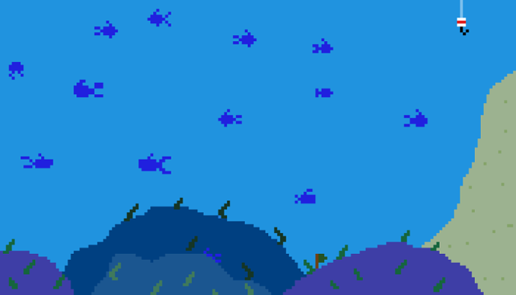 Beach Shark Image