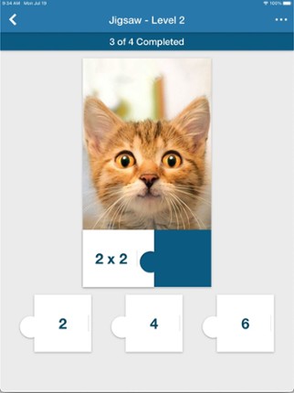 Brainematics - Brains in Math Image
