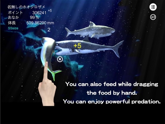 Great white shark breeding AR Image