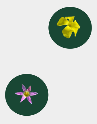 LOGAN: An Autobiographical Tabletop Game screenshot