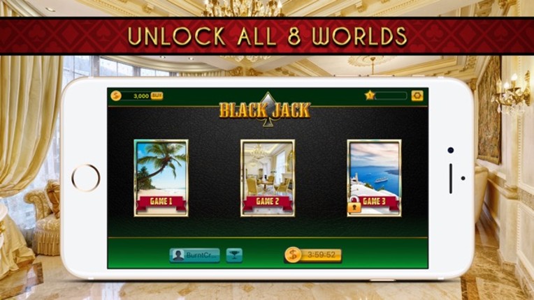 Play Blackjack! screenshot