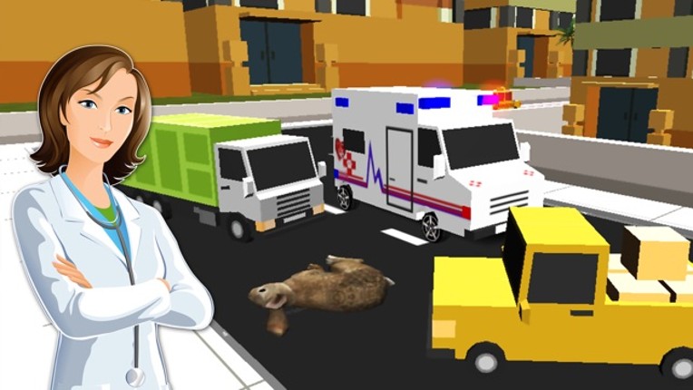 Ambulance Simulator Duty Drive :Pet Rescue 3D 2017 screenshot