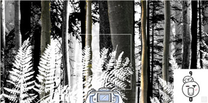 Bird Finder screenshot