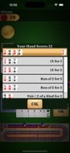 Cribbage Pro Image