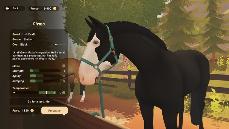 Fernhoof Grove: Riding Academy screenshot