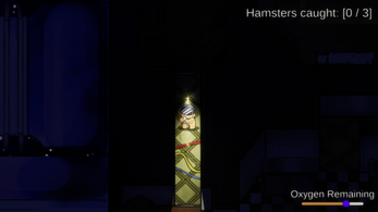 Hamsters In The Dark Image