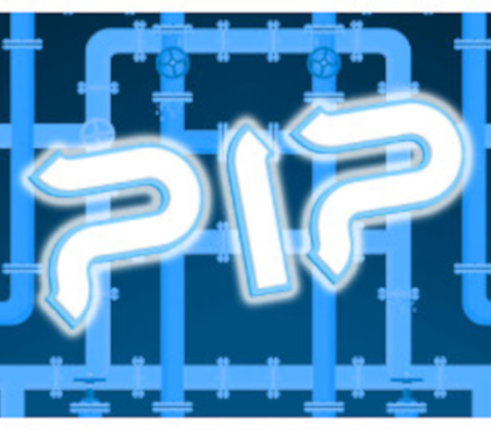 PIP Image