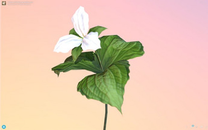 The AR Perpetual Garden Apps Image